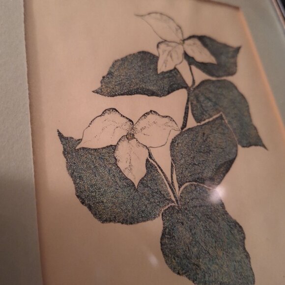 Hand Signed Annarae Anderson Print 25 of 500 Botanical Illustration Black Frame - Picture 2 of 4